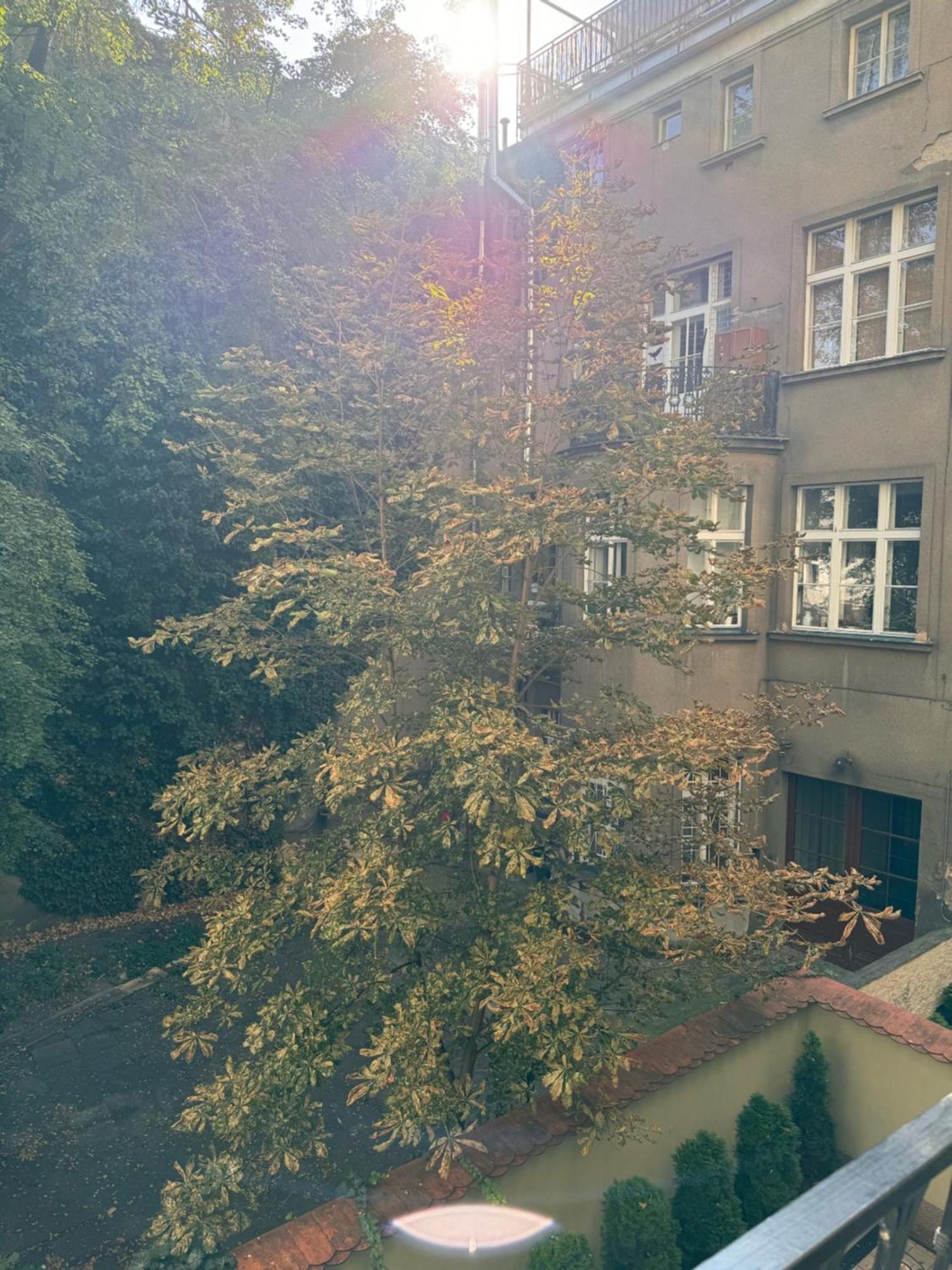 Apartment Arbes 10 - At The Yellow Duck